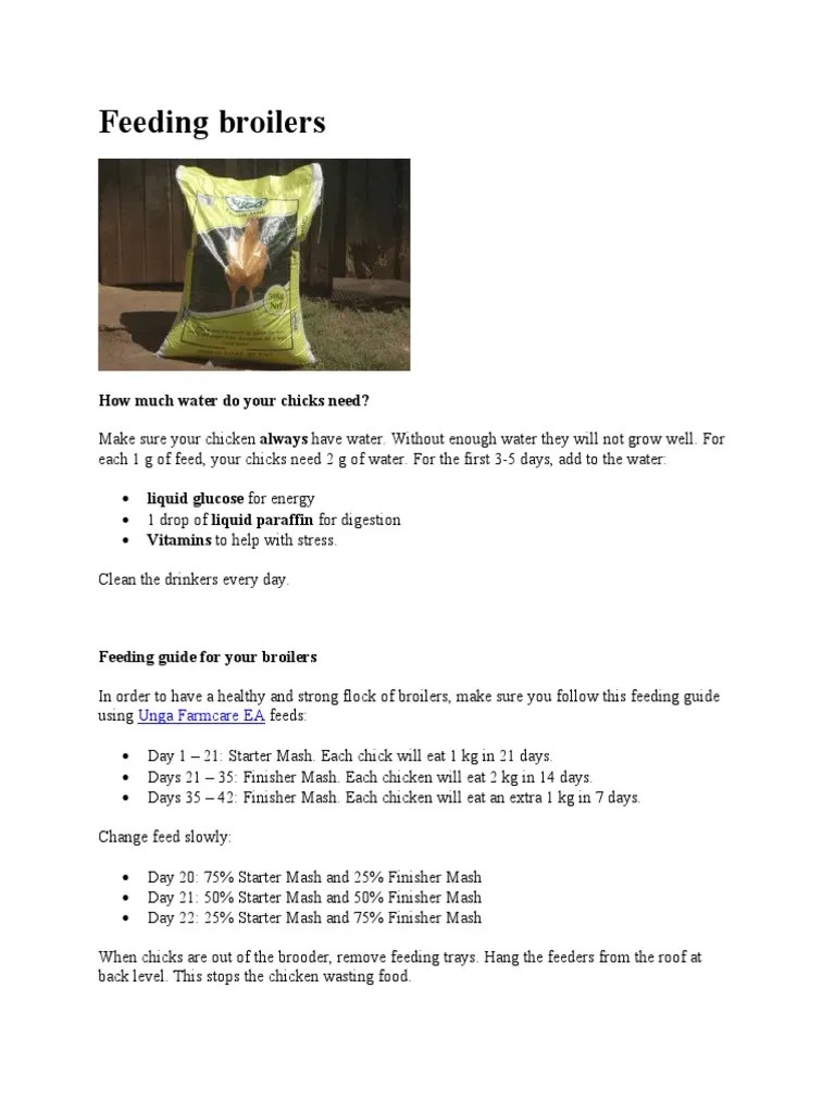 Feeding Broilers How Much Water Do Your Chicks Need? PDF