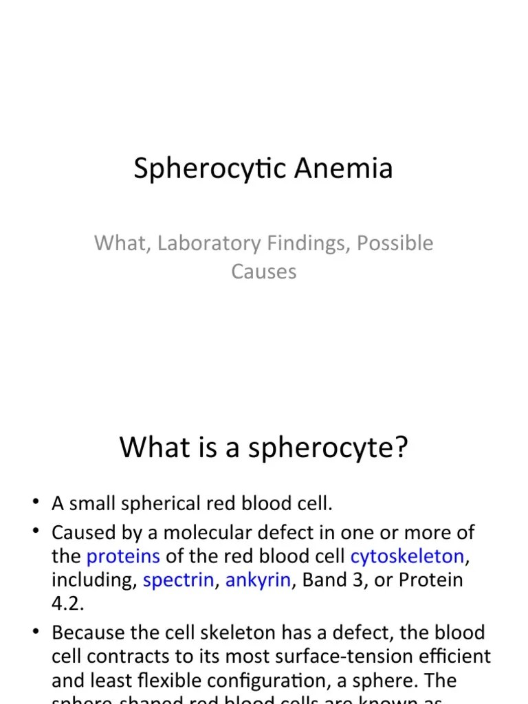 Spherocytic Anemia What, Laboratory Findings, Possible Causes PDF