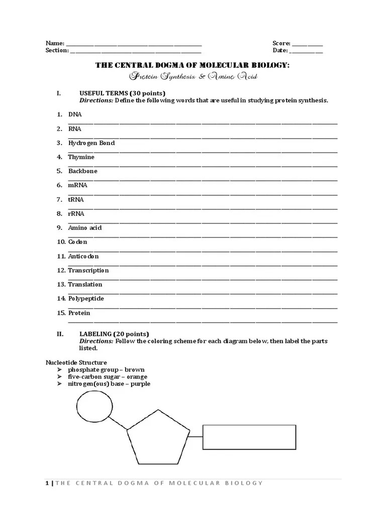 The Central Dogma of Molecular Biology | PDF | Translation (Biology