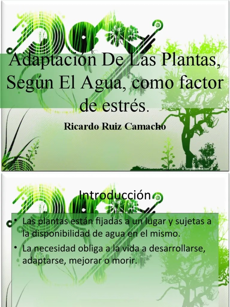 Adaptación De Las Plantas, Según El Agua