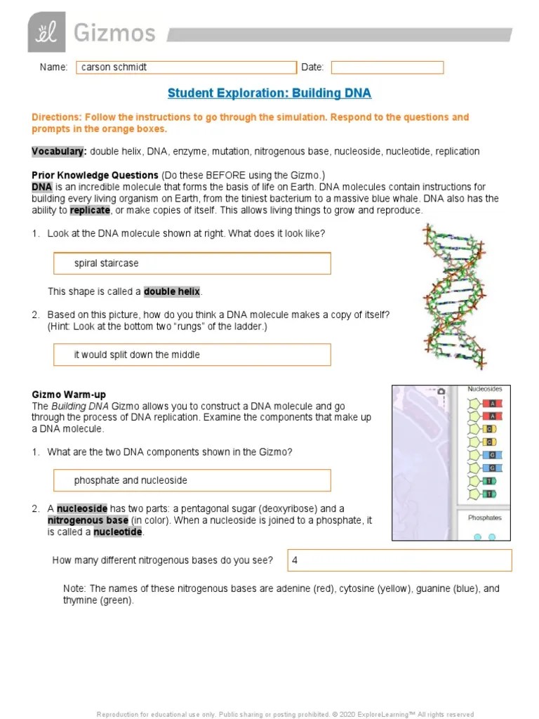 Over 400 gizmos aligned to the latest standards help educators bring powerful new learning experiences to the. Building Dna Gizmo Answer Key Pdf Sled Wars Gizmo Intro Lt3 Youtube Meiosis Is A Type Of Cell Division That Results In Four Daughter Cells With Half As Many Hugh Cosworth