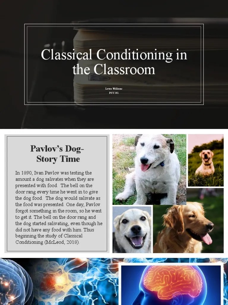 Psy 301 Classical Conditioning in The Classroom Presentation PDF Classical Conditioning
