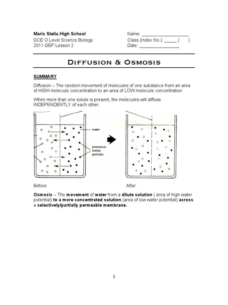 GEP Worksheets_Diffusion and Osmosis Revised Osmosis Chemistry