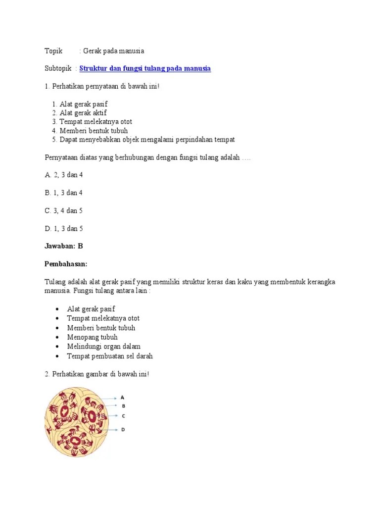 Soal Sistem Gerak | PDF