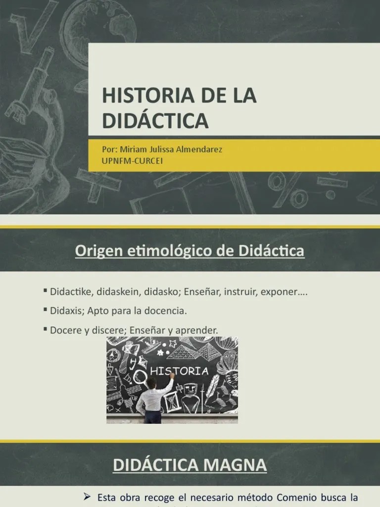 Historia de La Didáctica | PDF | Aprendizaje | Conceptos psicologicos
