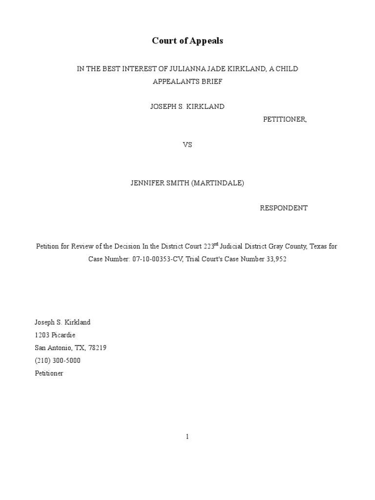 BRIEF FOR APPEAL Child Custody Judgment (Law)