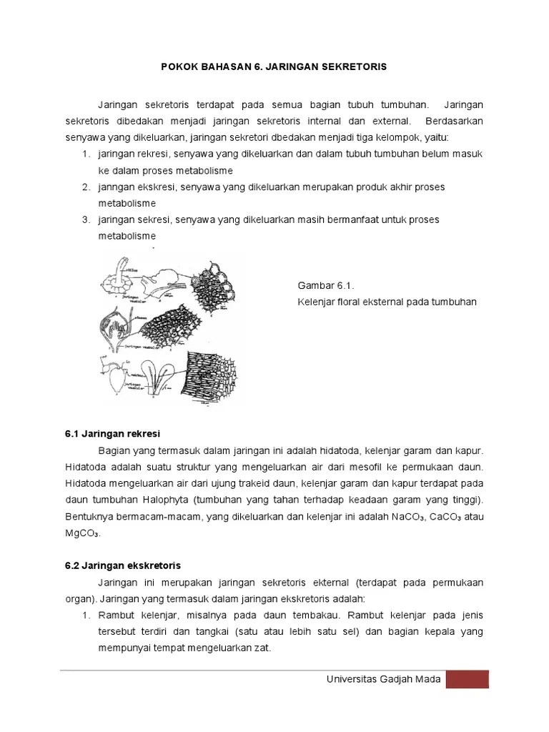 Jaringan Sekretoris | PDF