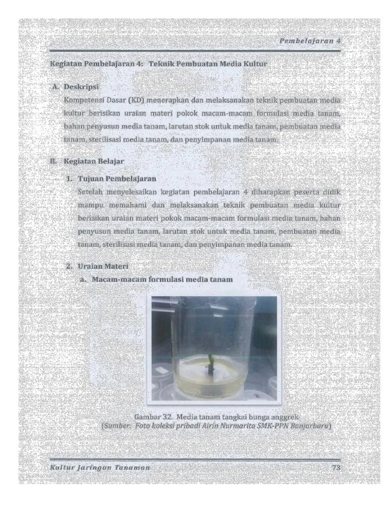 Teknik Pembuatan Media Kultur Jaringan | PDF