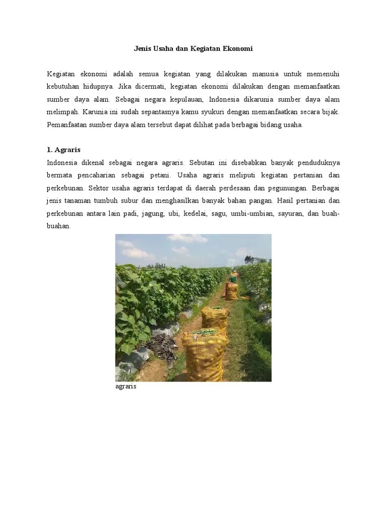 Jenis Usaha Dan Kegiatan Ekonomi | PDF