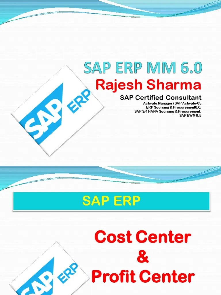 SAP Cost Center Profit Center PDF Cost Procurement