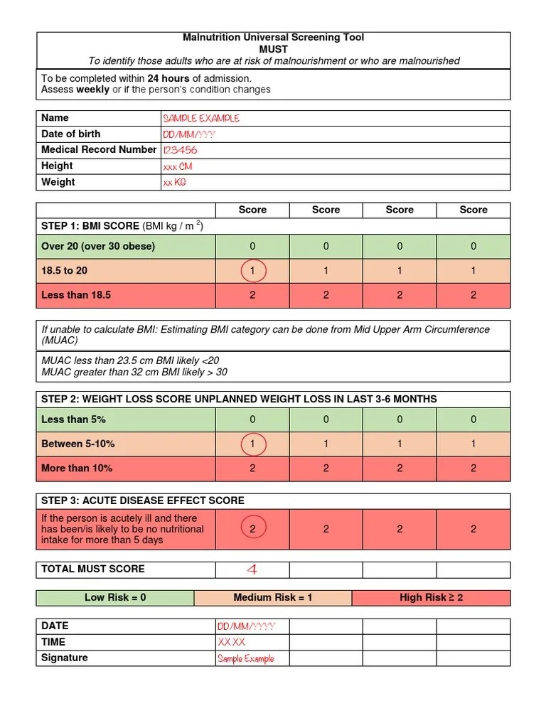 (EXAMPLE) Malnutrition Universal Screening Tool (MUST) Blank PDF