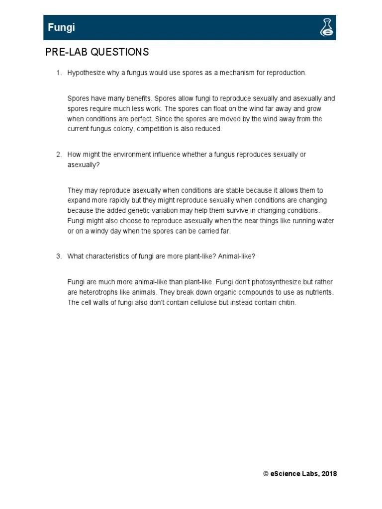 Biology Fungi Worksheet ANSWERS PDF