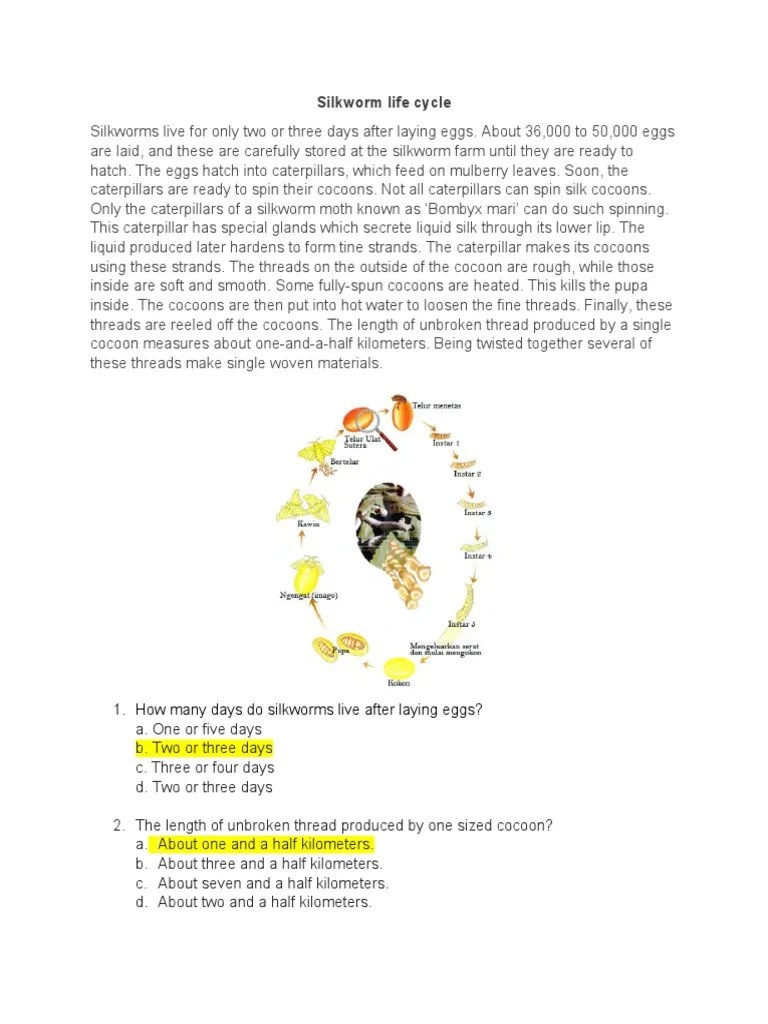 Silkworm Life Cycle 1. How Many Days Do Silkworms Live After Laying