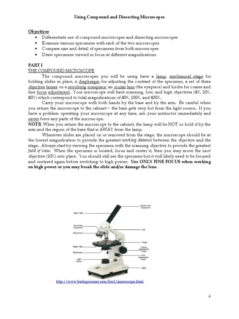 Using Compound and Dissecting Microscopes Objectives PDF Laboratory