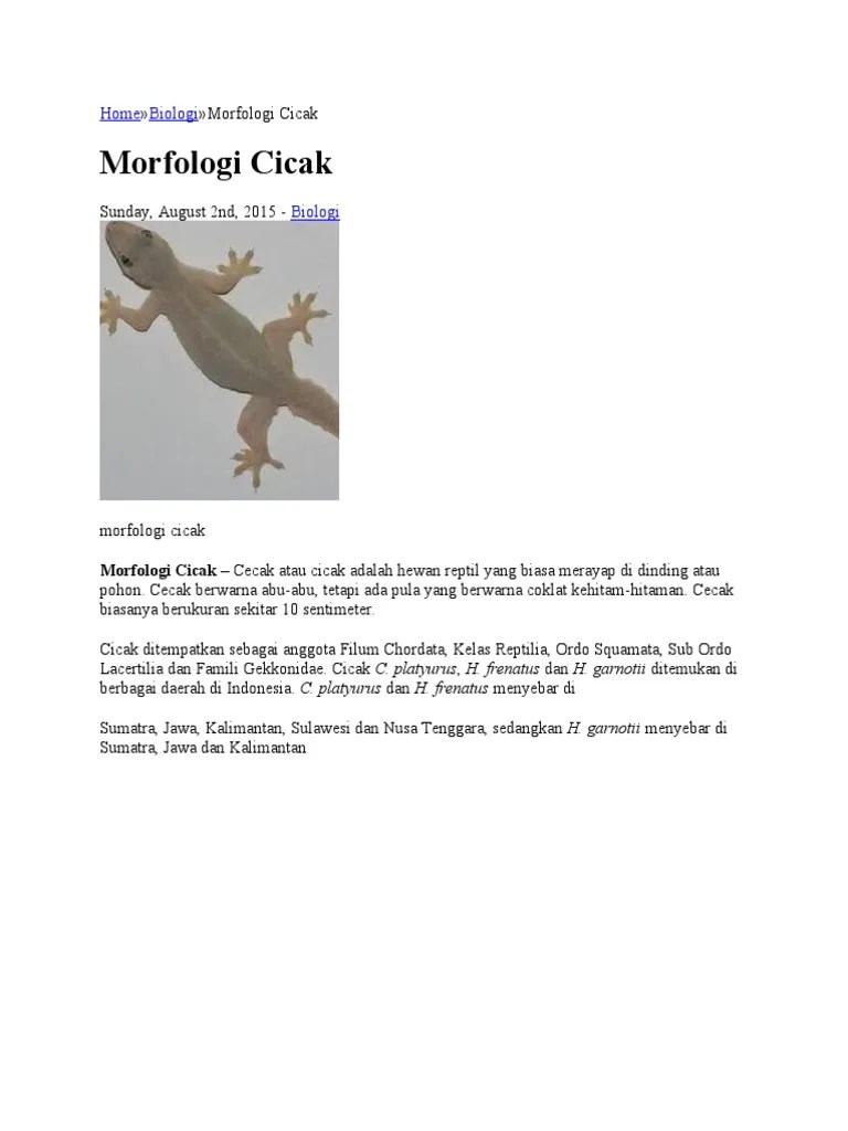 Morfologi Animalia | PDF