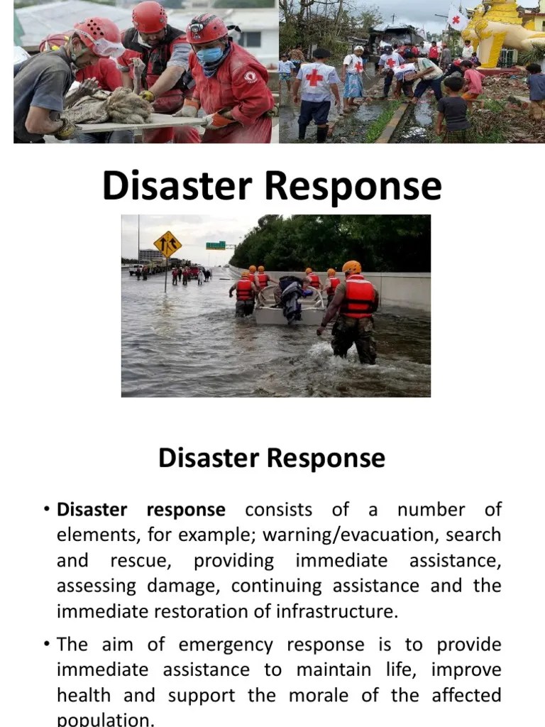 Lecture 11 Disaster Response PDF Emergency Management Policy