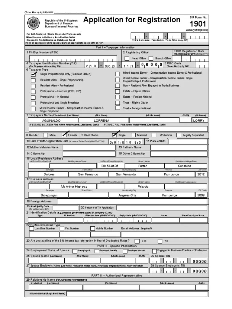 Application For Registration Taxpayer Identification Number (TIN) PDF Receipt Sole