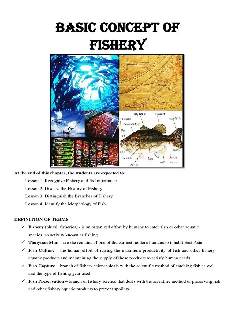 An Introduction to Fisheries A MultiLesson Look at the History