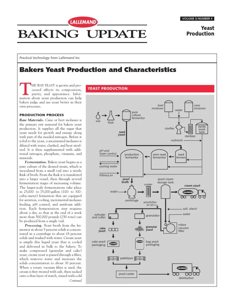 Bakers Yeast Production and Characteristics PDF Yeast Baker's Yeast