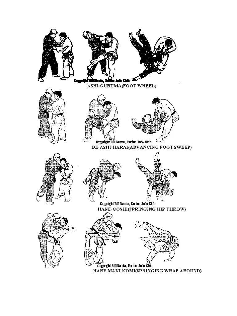 60 Judo Throws PDF