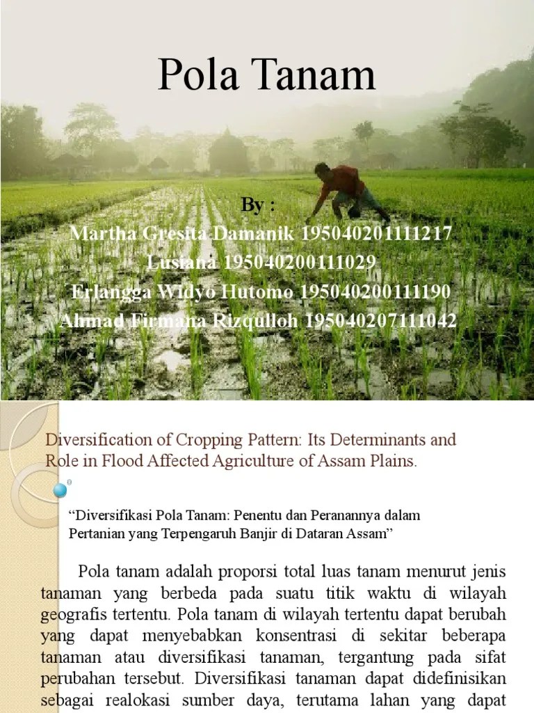 Maes BP Kelompok 1 | PDF