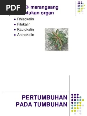 KALIN Merangsang Pembentukan Organ: Rhizokalin Filokalin Kaulokalin  Anthokalin | PDF