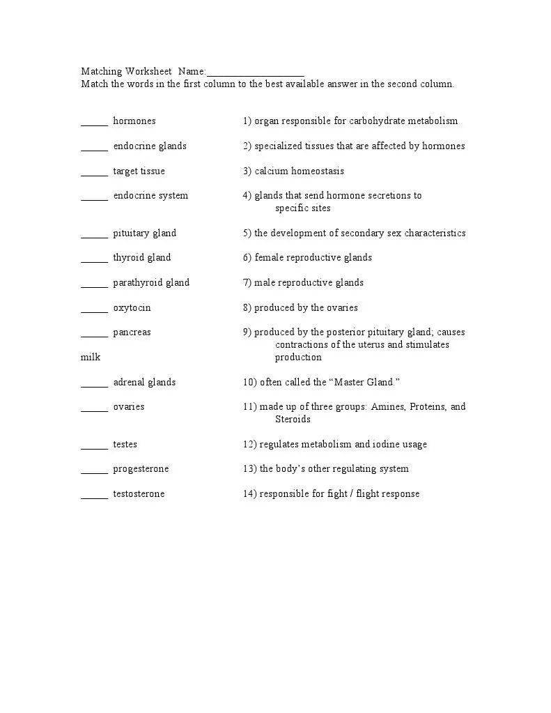 Endocrine System Match | PDF | Endocrine System | Hormone