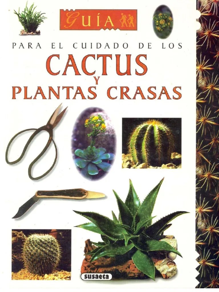 Guia Para El Cuidado de Cactus y Plantas Crasas