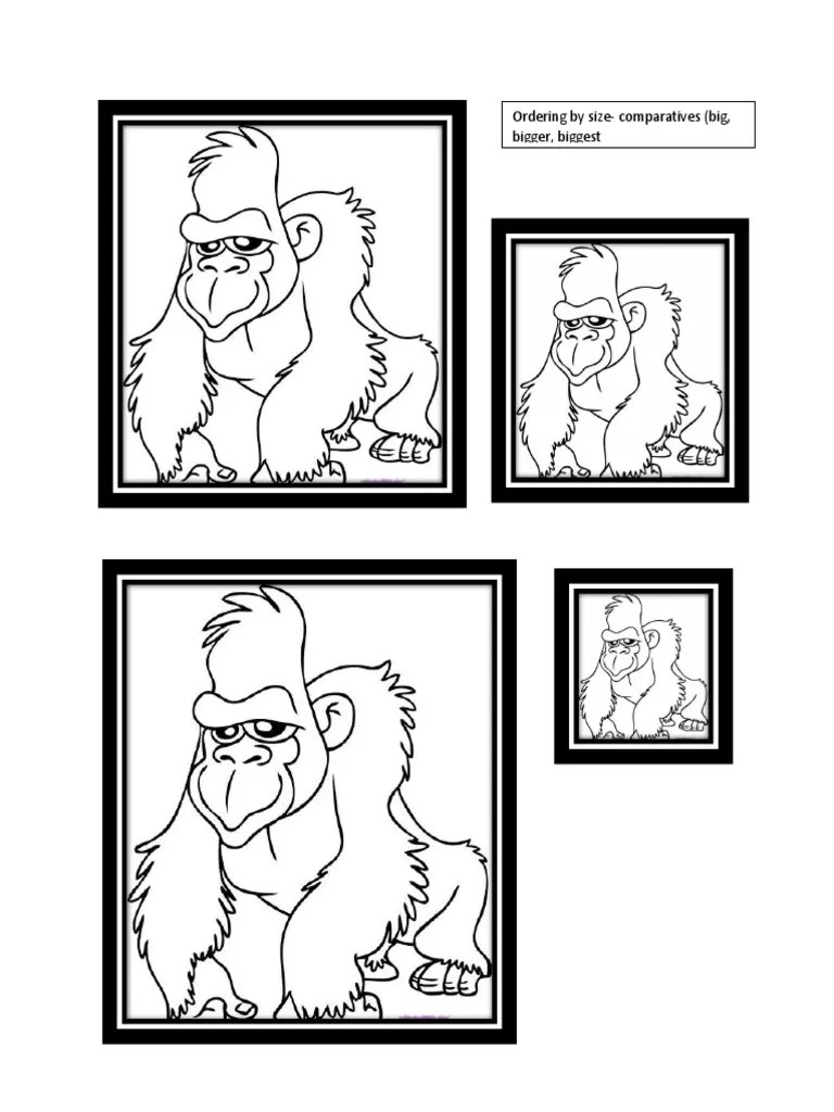 Maths Size Comparison Gorillas PDF