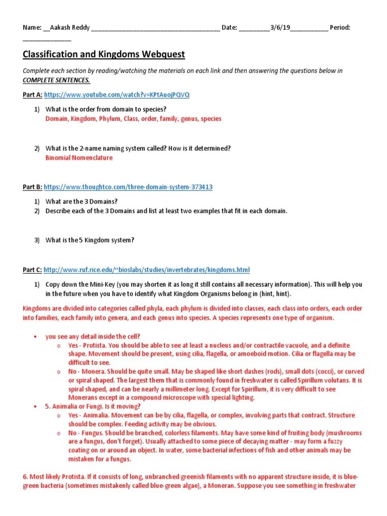 Classification and Kingdoms Webquest | PDF