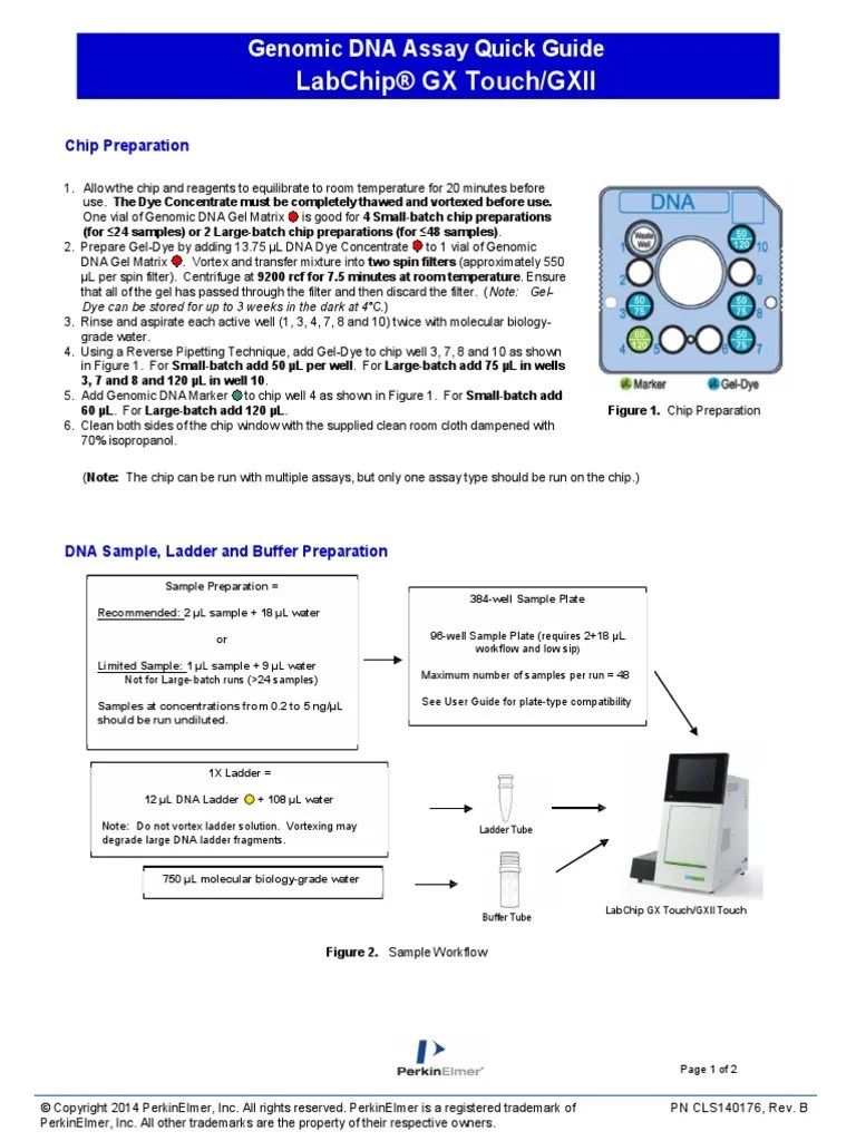 Labchip® GX Touch/Gxii Genomic Dna Assay Quick Guide PDF