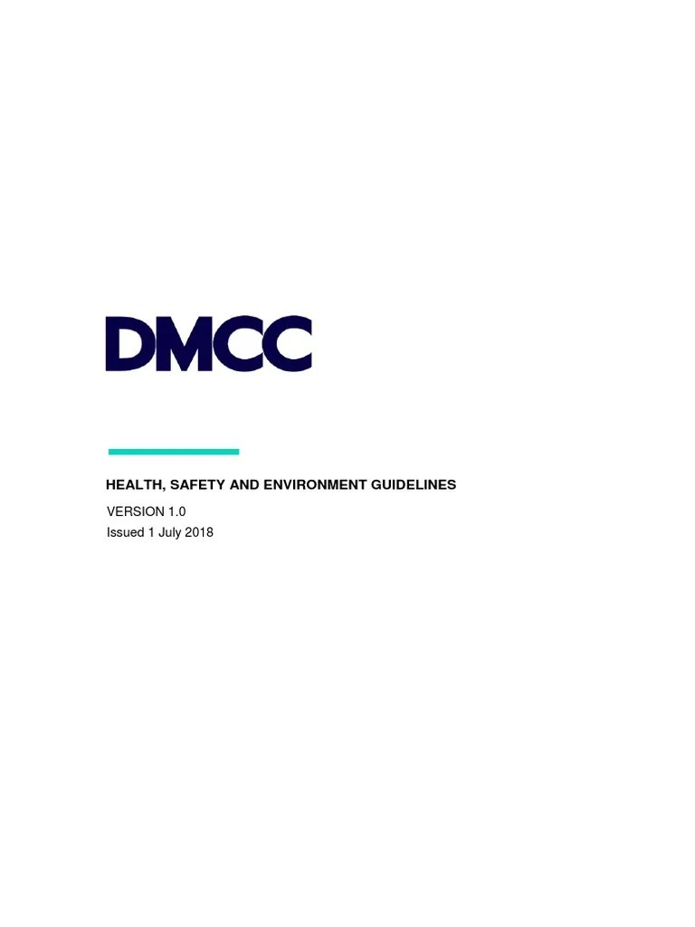 HSE Guidelines PDF Occupational Safety And Health Safety