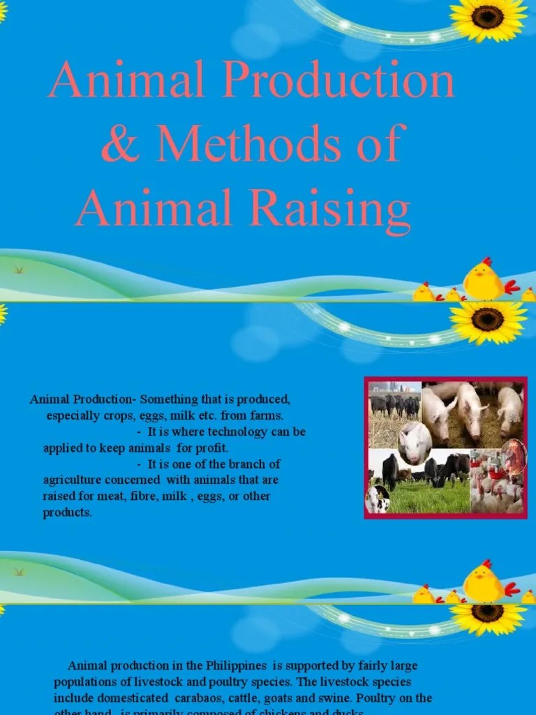 Animal Production and Methods of Animal Raising EPP Arceli M. Comia