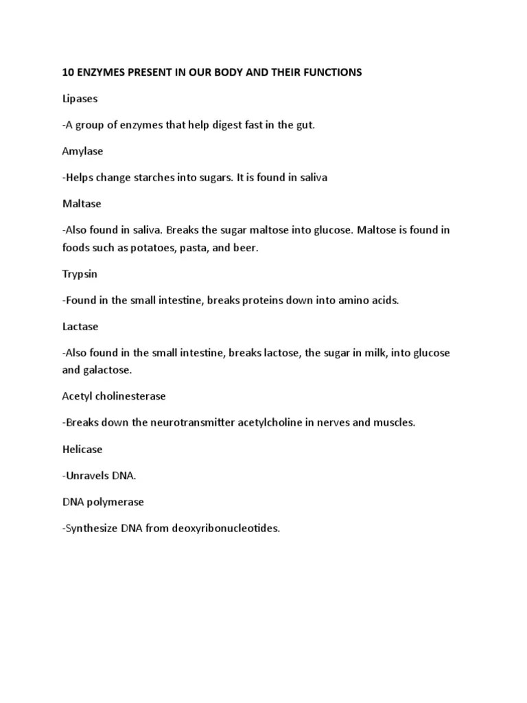 10 Enzymes Present in Our Body and Their Functions PDF