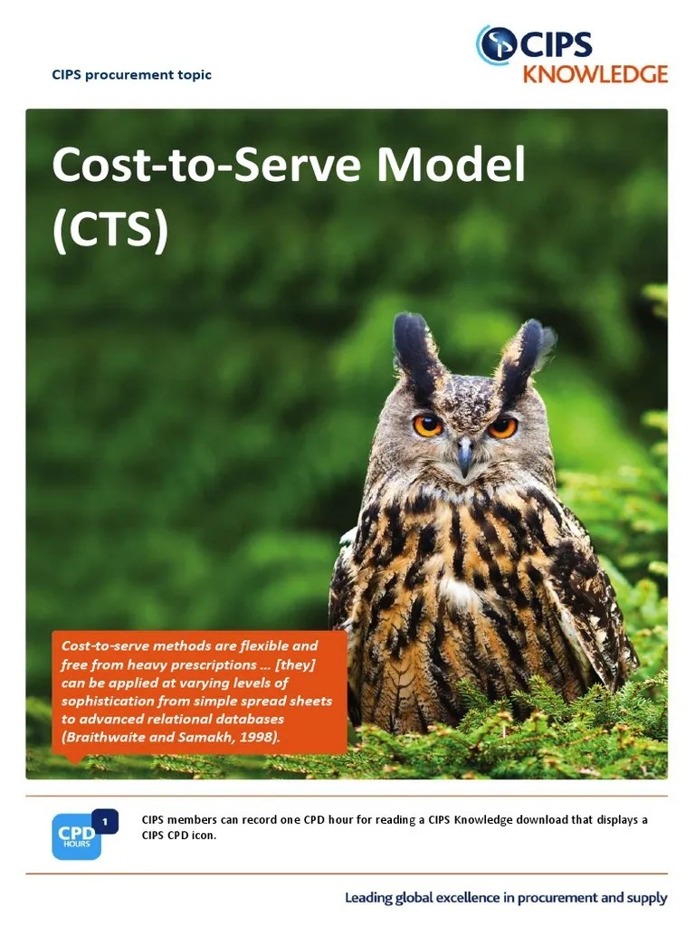 Cost To Serve Model PDF Procurement Supply Chain