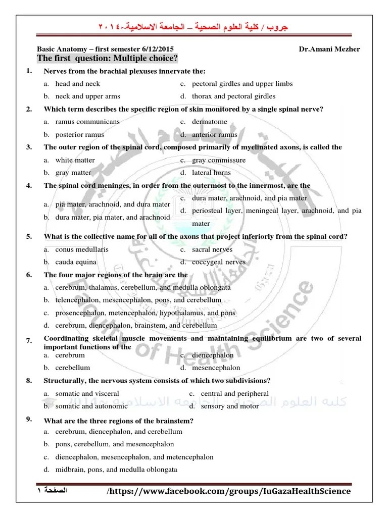 Basic Anatomy Multiple Choice Questions Covering the Nervous System