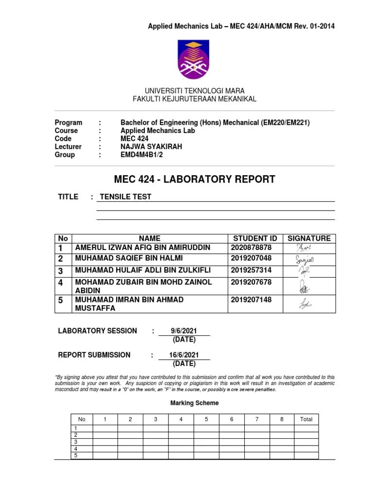 Tensile Test Experiment Lab Report | PDF | Strength Of Materials