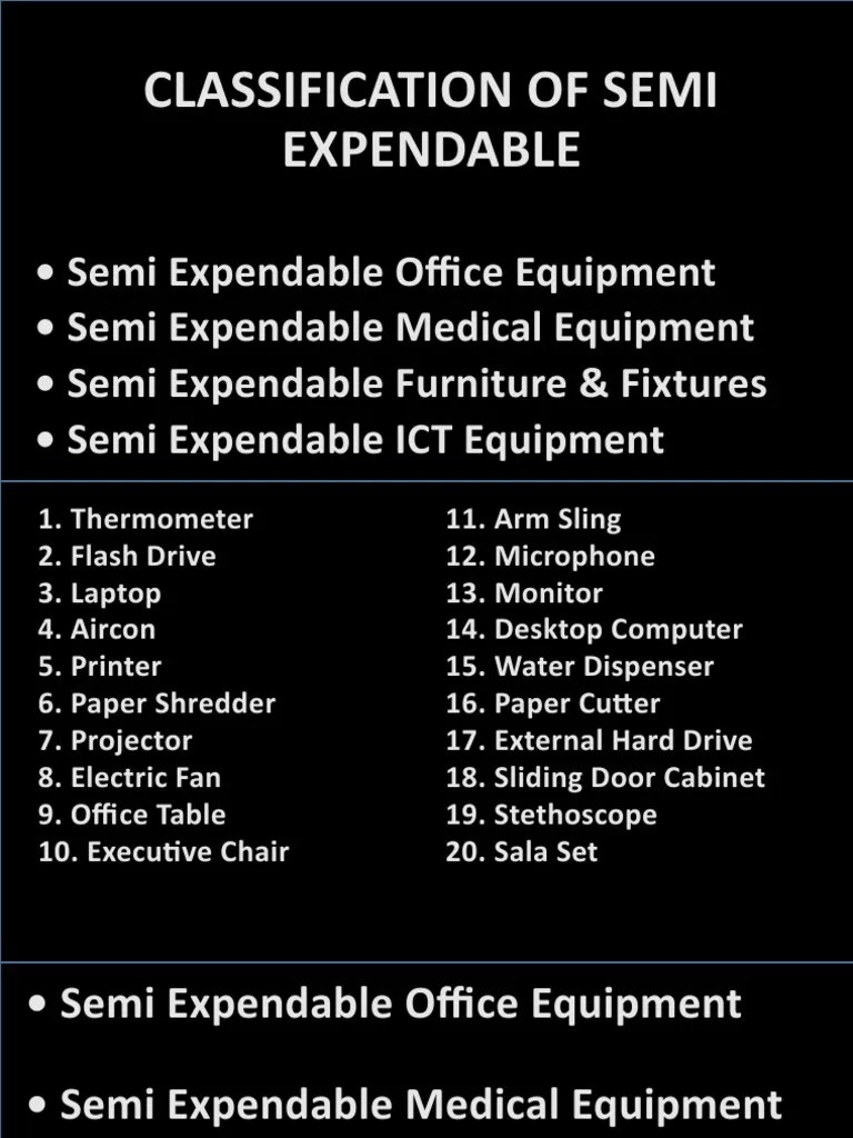 Semi Expendable Items PDF