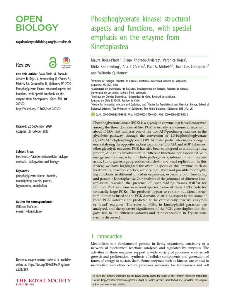 Phosphoglycerate Kinase Structural Aspects and Functions, With Special