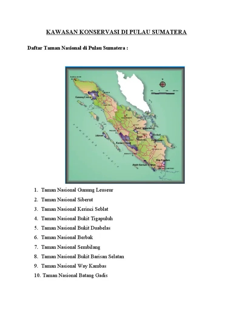 Kawasan Konservasi Di Pulau Sumatera PDF