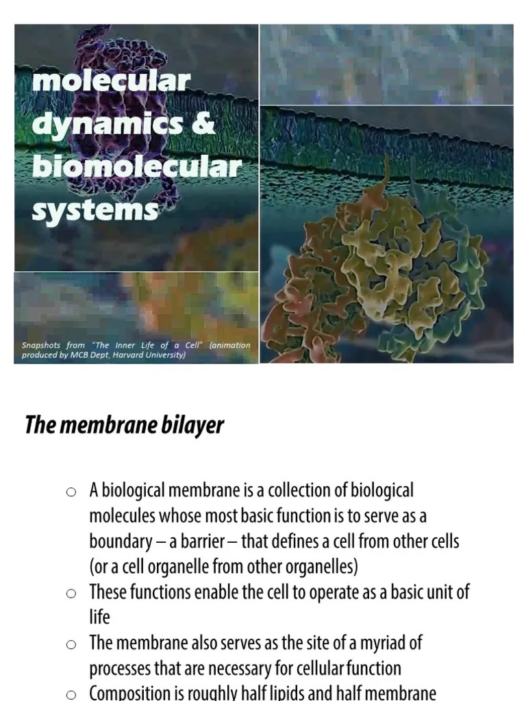 Molecular Dynamics & Biomolecular Systems PDF