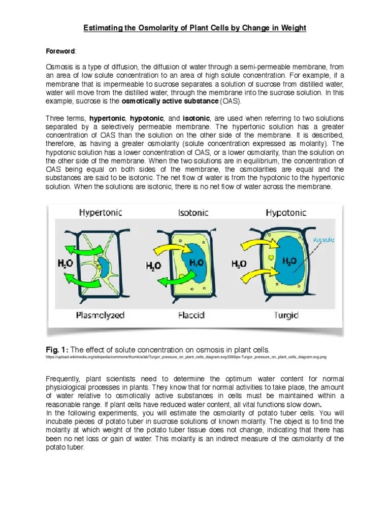 Osmosis Lab Potato PDF Osmosis Biology