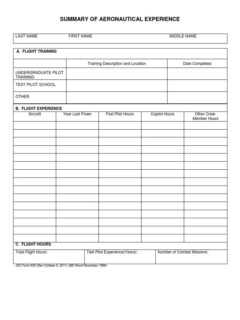An Experienced Aviator's Flight Log A Summary of Aeronautical