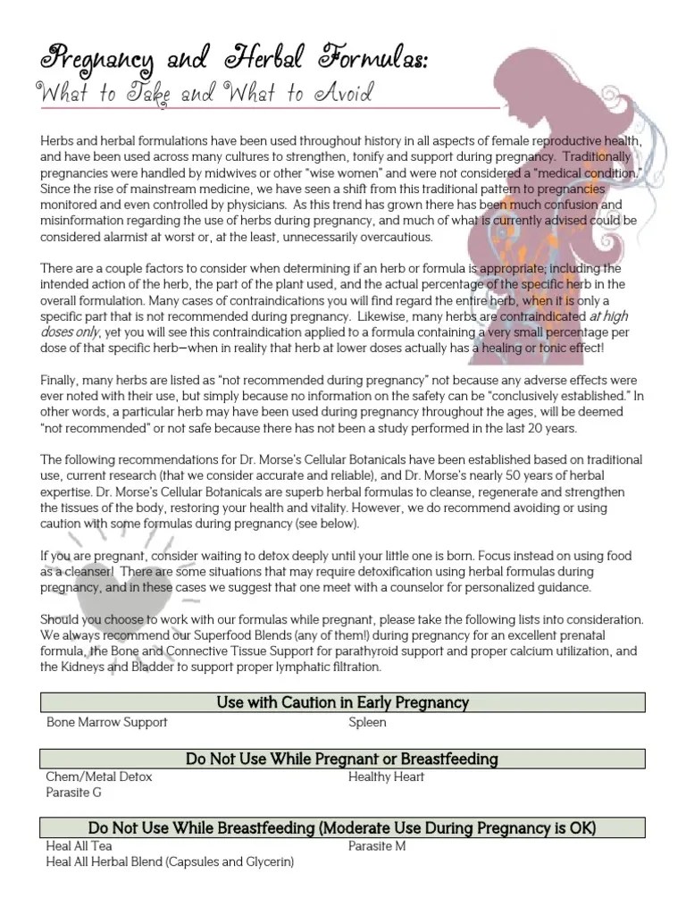 Pregnancy and Herbal Formulas What To Take and What To Avoid