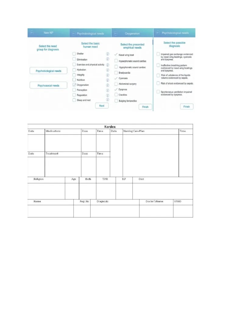 Kardex Care Plan PDF