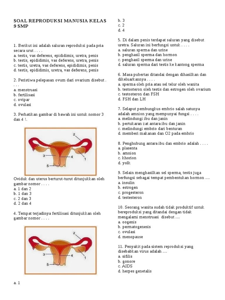 Sistem Reproduksi | PDF