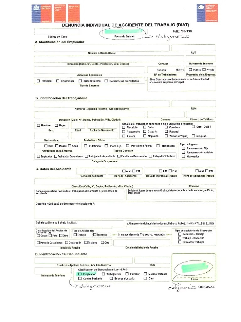 Diat (Campos Obligatorios A Rellenar) PDF