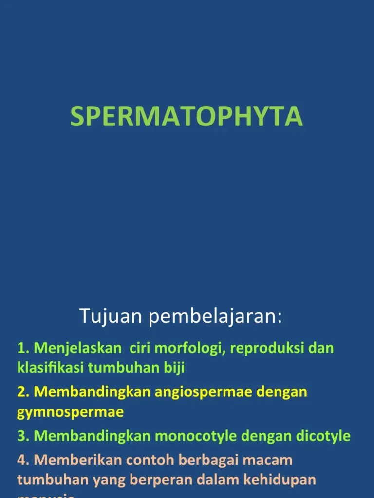 SPERMATOPHYTA 2017 | PDF