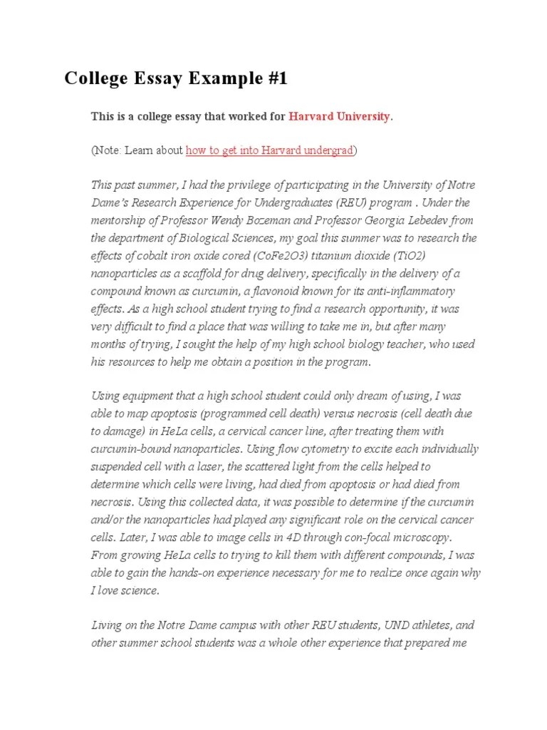 ⛔ Good college essay examples. 21 Stellar Common App Essay Examples to