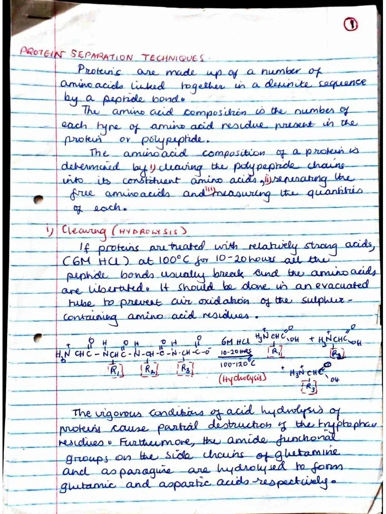 Biochemical Techniques PDF